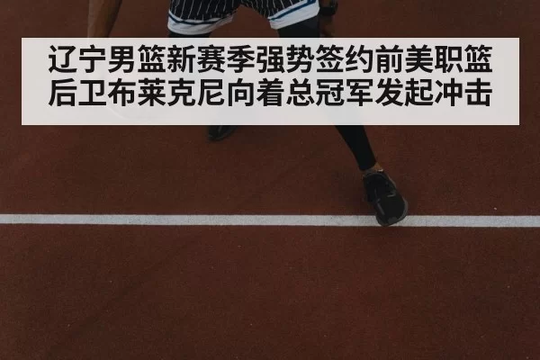 辽宁男篮新赛季强势签约前美职篮后卫布莱克尼向着总冠军发起冲击